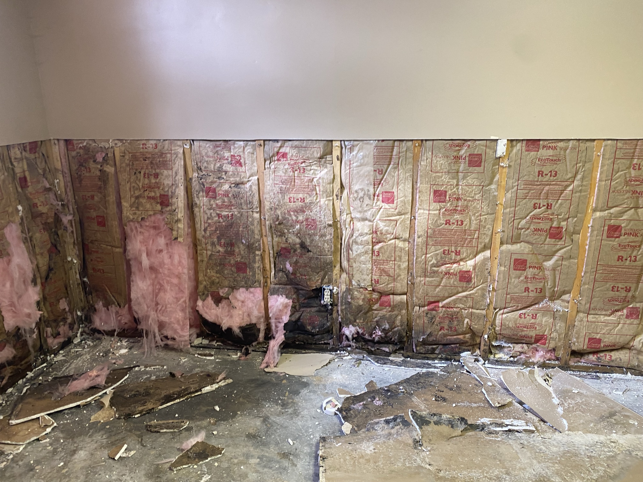 Wall opened to studs exposing insulation and mold growth from prolonged moisture intrusion